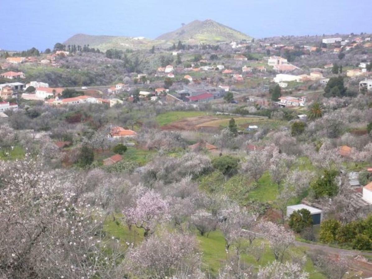 הוילה Puntagorda Casita El Manantial מראה חיצוני תמונה